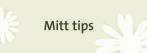 Mitt tips